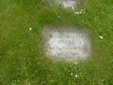 image of grave number 408295